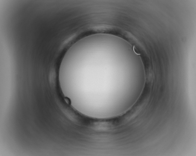 X0000114000448200910091406