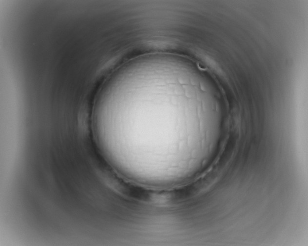X0000114000450200910091406