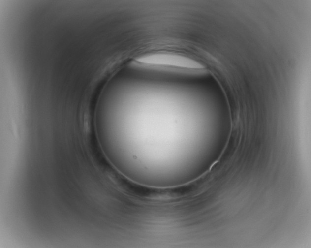 X0000114000452200910091406