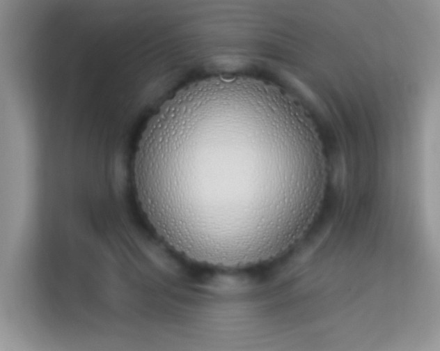 X0000114000455200910091407