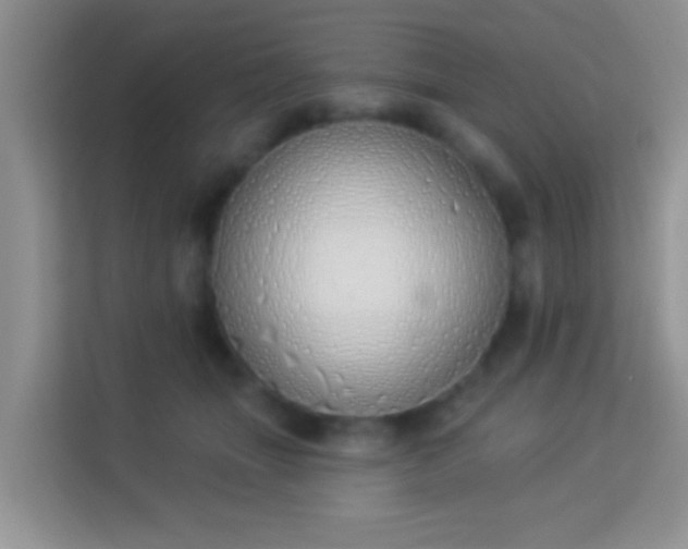 X0000114000463200910091407