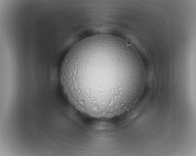 X0000114000466200910091407
