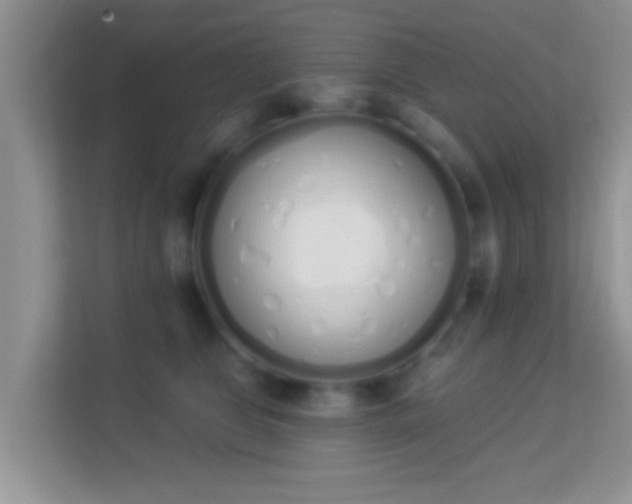 X0000114000469200910091407