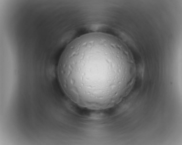 X0000114000470200910091407