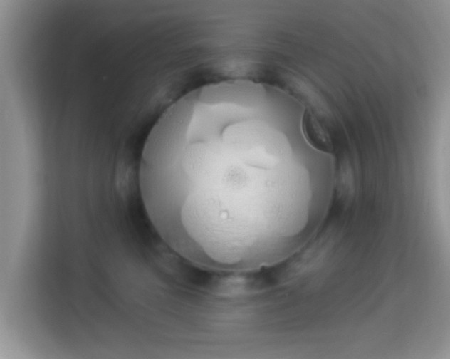 X0000114000473200910091407