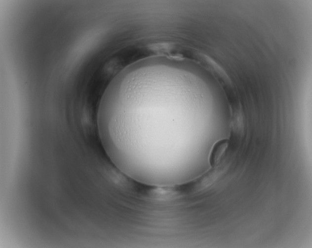 X0000114000477200910091407