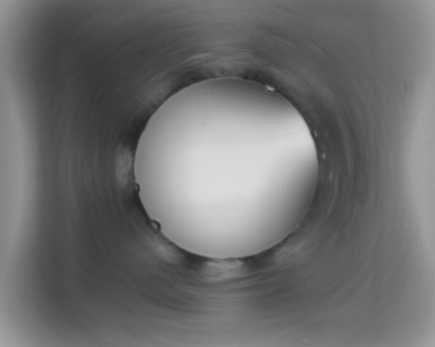 X0000114000480200910091407