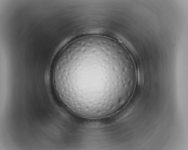 X0000114000483200910091406