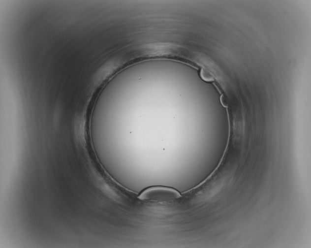 X0000114000485200910091406