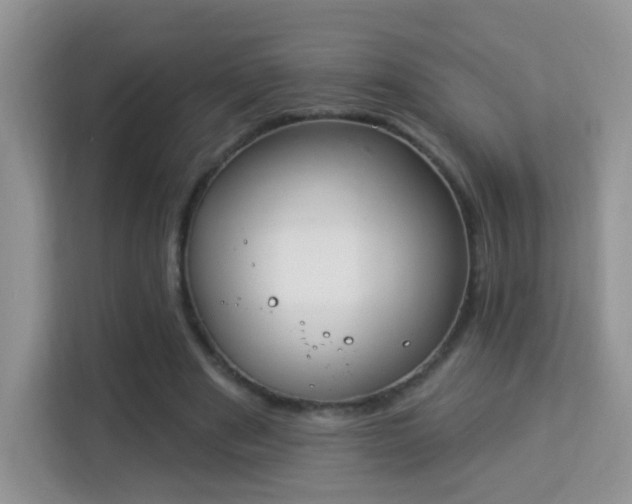 X0000114000489200910091406