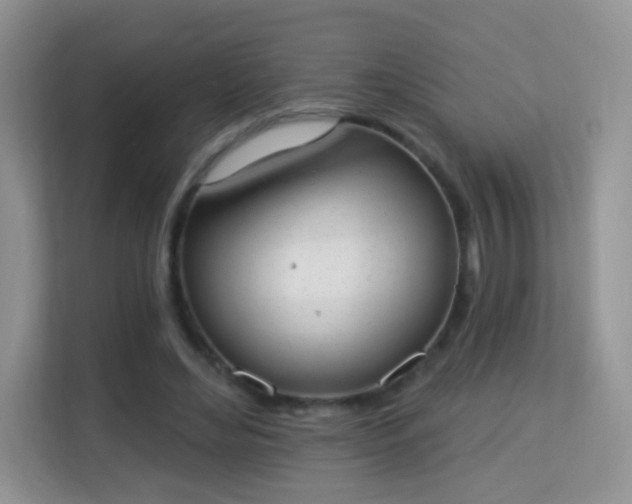 X0000114000492200910091406