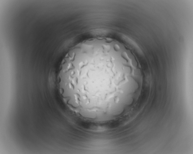 X0000114000498200910091406