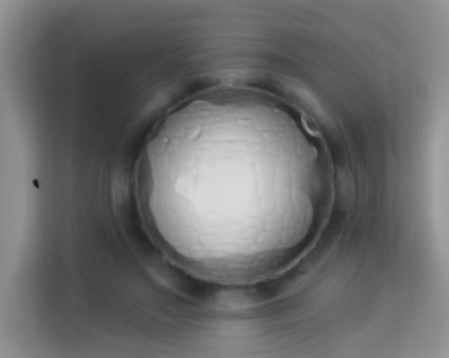 X0000114000499200910091406