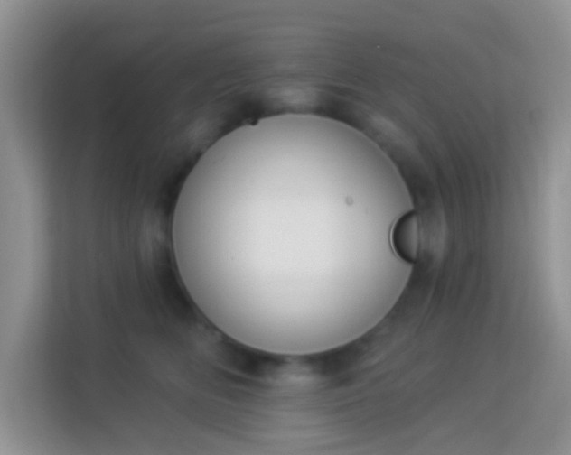 X0000114000518200910091406