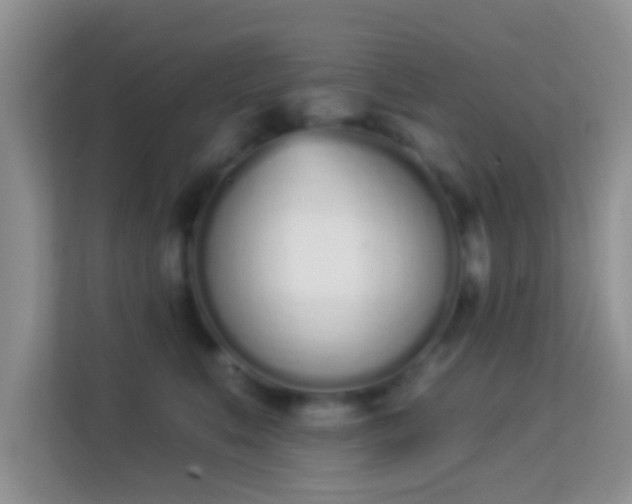 X0000114000519200910091406