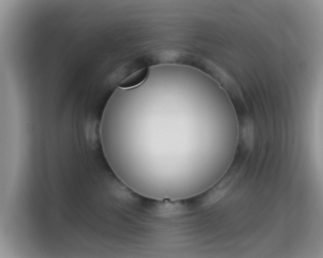 X0000114000525200910091406