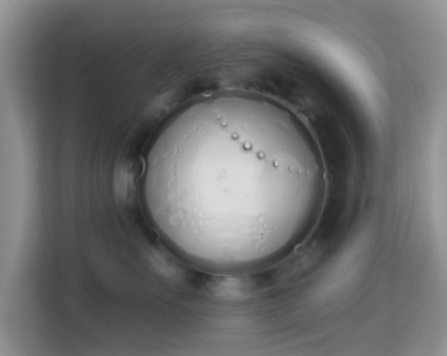 X0000114000527200910091406