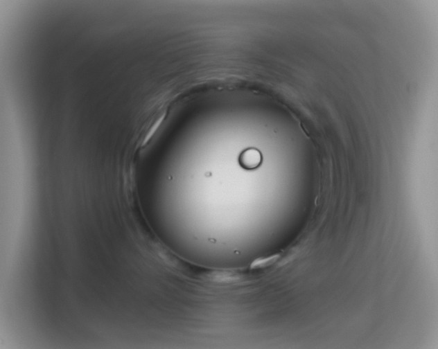 X0000114000528200910091406