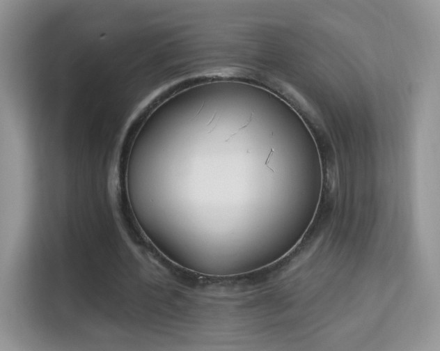 X0000114000532200910091405