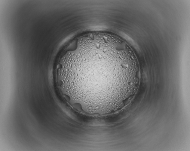 X0000114000535200910091405