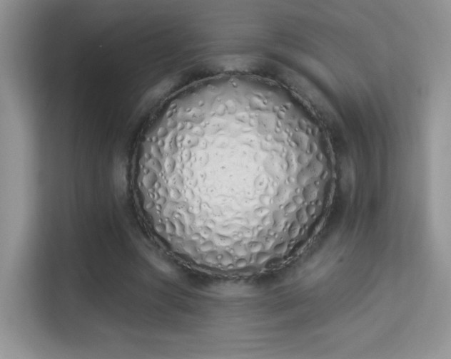 X0000114000537200910091405