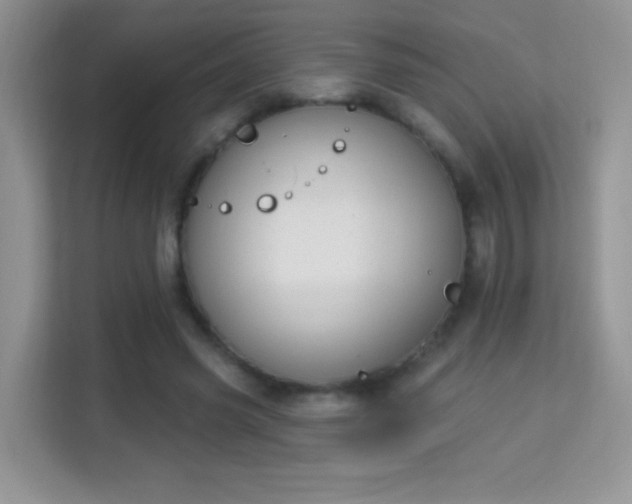 X0000114000541200910091405