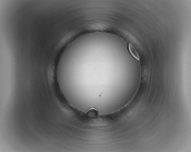 X0000114000544200910091405