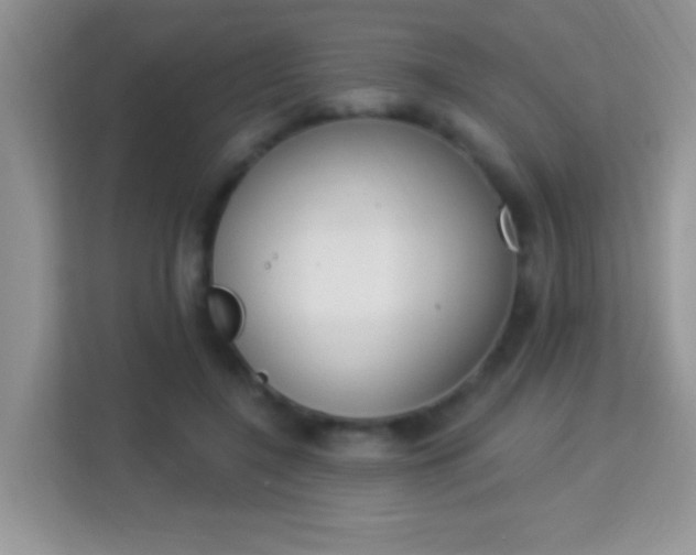 X0000114000548200910091405