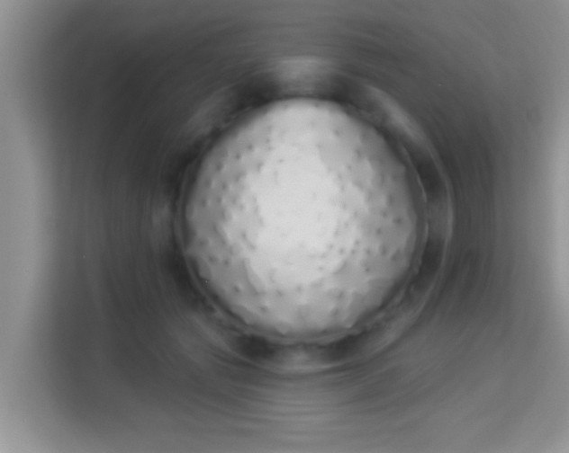 X0000114000557200910091405