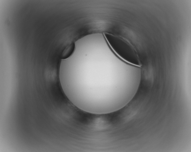 X0000114000564200910091405