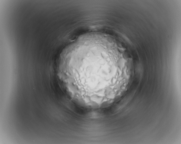 X0000114000565200910091405