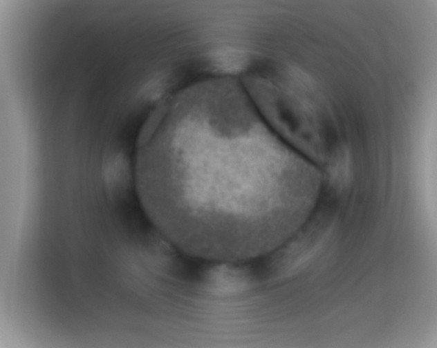 X0000114000568200910091405