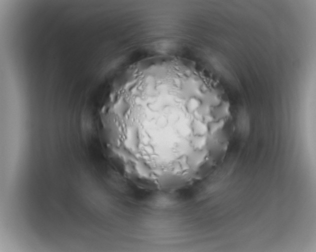 X0000114000569200910091405