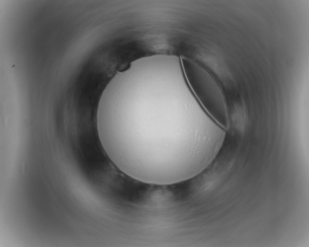 X0000114000572200910091405