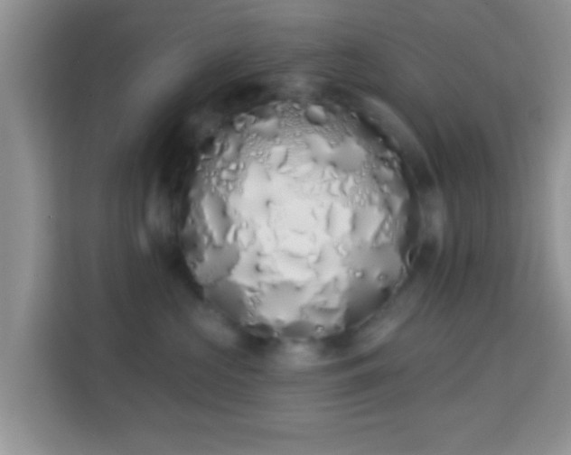 X0000114000573200910091406