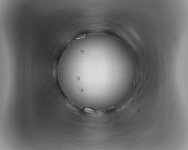X0000114000576200910091406
