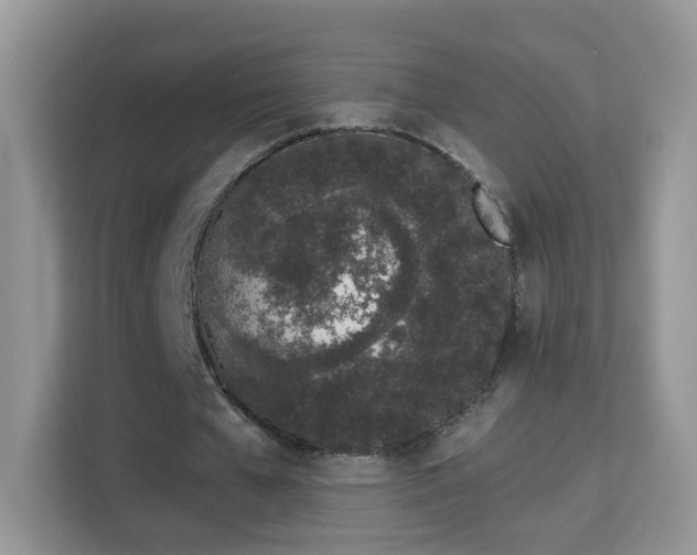 X0000114000577200910091405