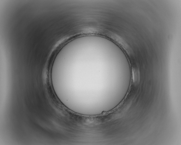 X0000114000579200910091405