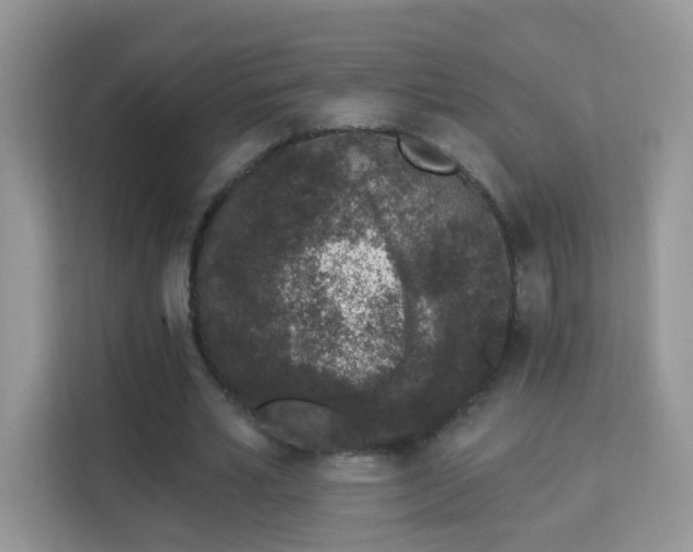 X0000114000581200910091405