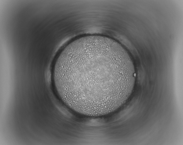 X0000114000584200910091405