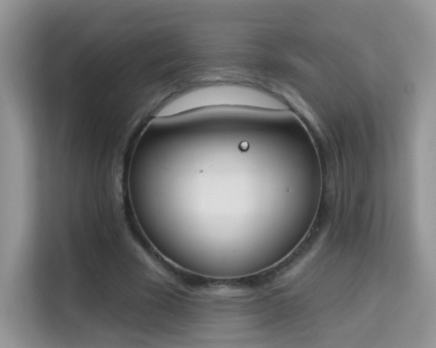 X0000114000585200910091405