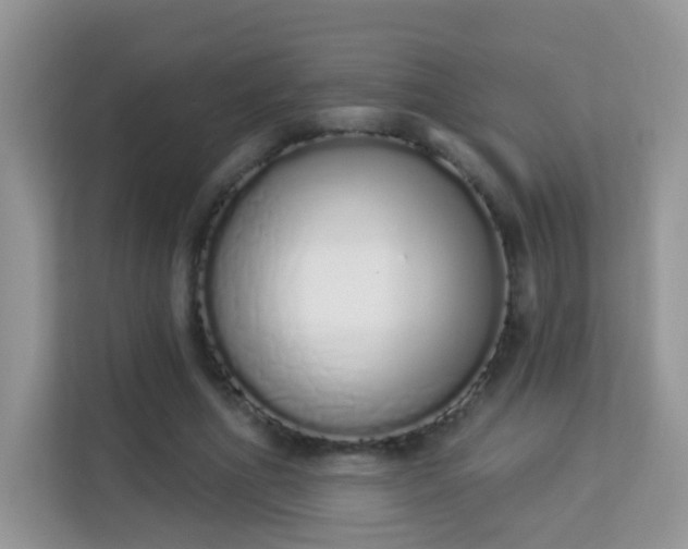 X0000114000586200910091405