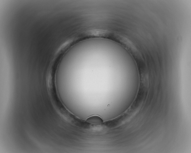 X0000114000587200910091405