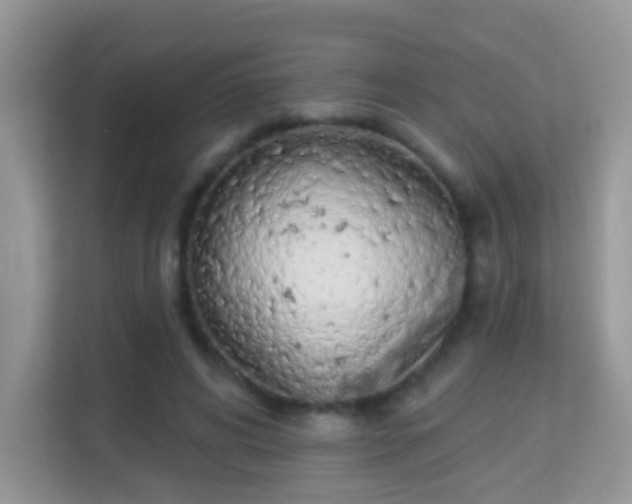 X0000114000592200910091405