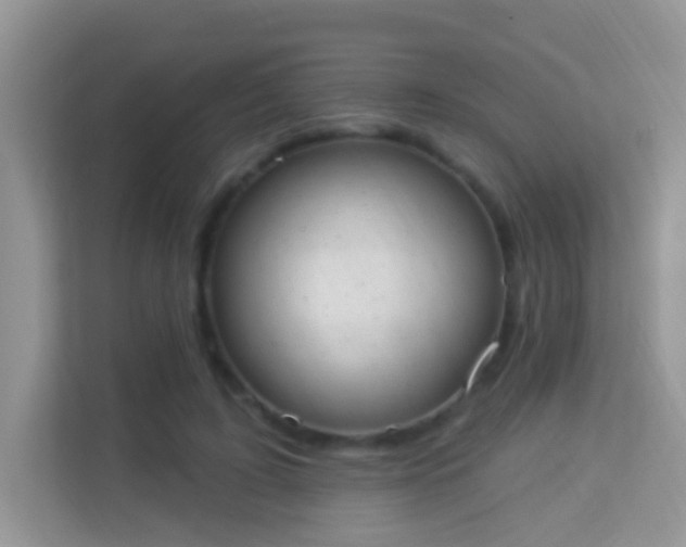 X0000114000595200910091405