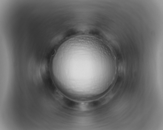 X0000114000623200910091404