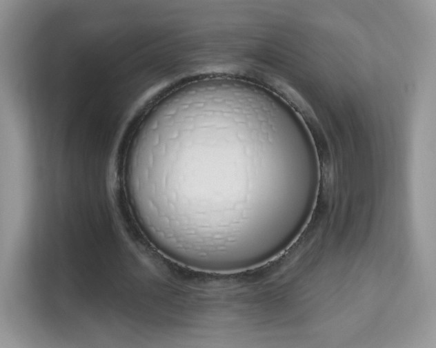 X0000114000628200910091404