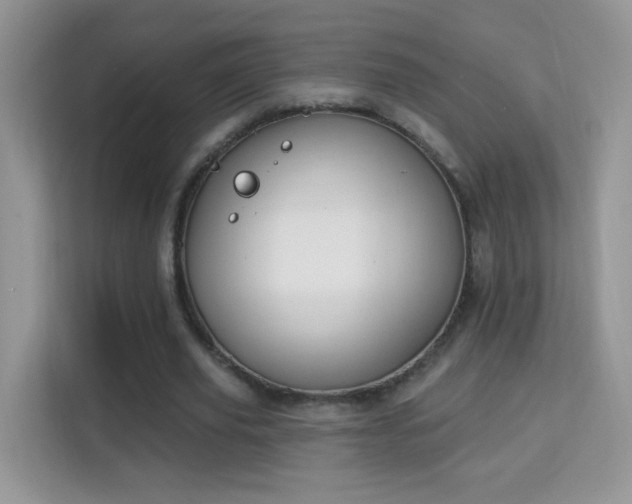 X0000114000629200910091404