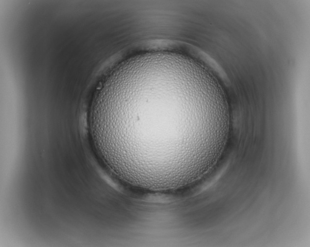 X0000114000633200910091404