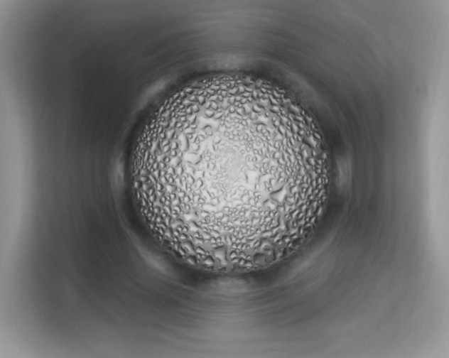 X0000114000636200910091404